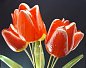 Ваза оникс с цветами селенит (тюльпаны) 75*75*355 мм