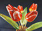 Ваза оникс с цветами селенит (тюльпаны) 51*51*205 мм